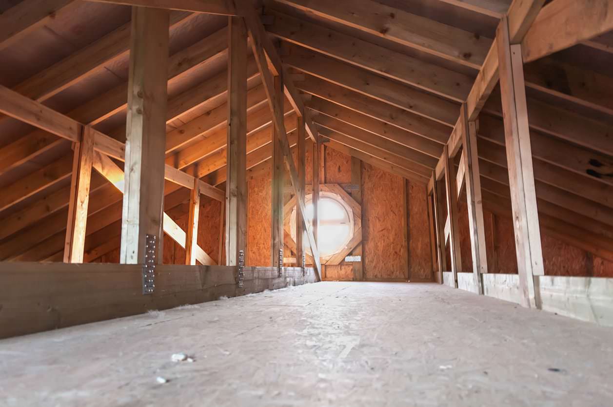 How to Get Rid of Mice in the Attic Insulation - Attic Insulation Toronto