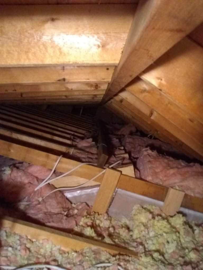 signs-you-need-to-replace-your-attic-insulation-wildlifeshield-ca