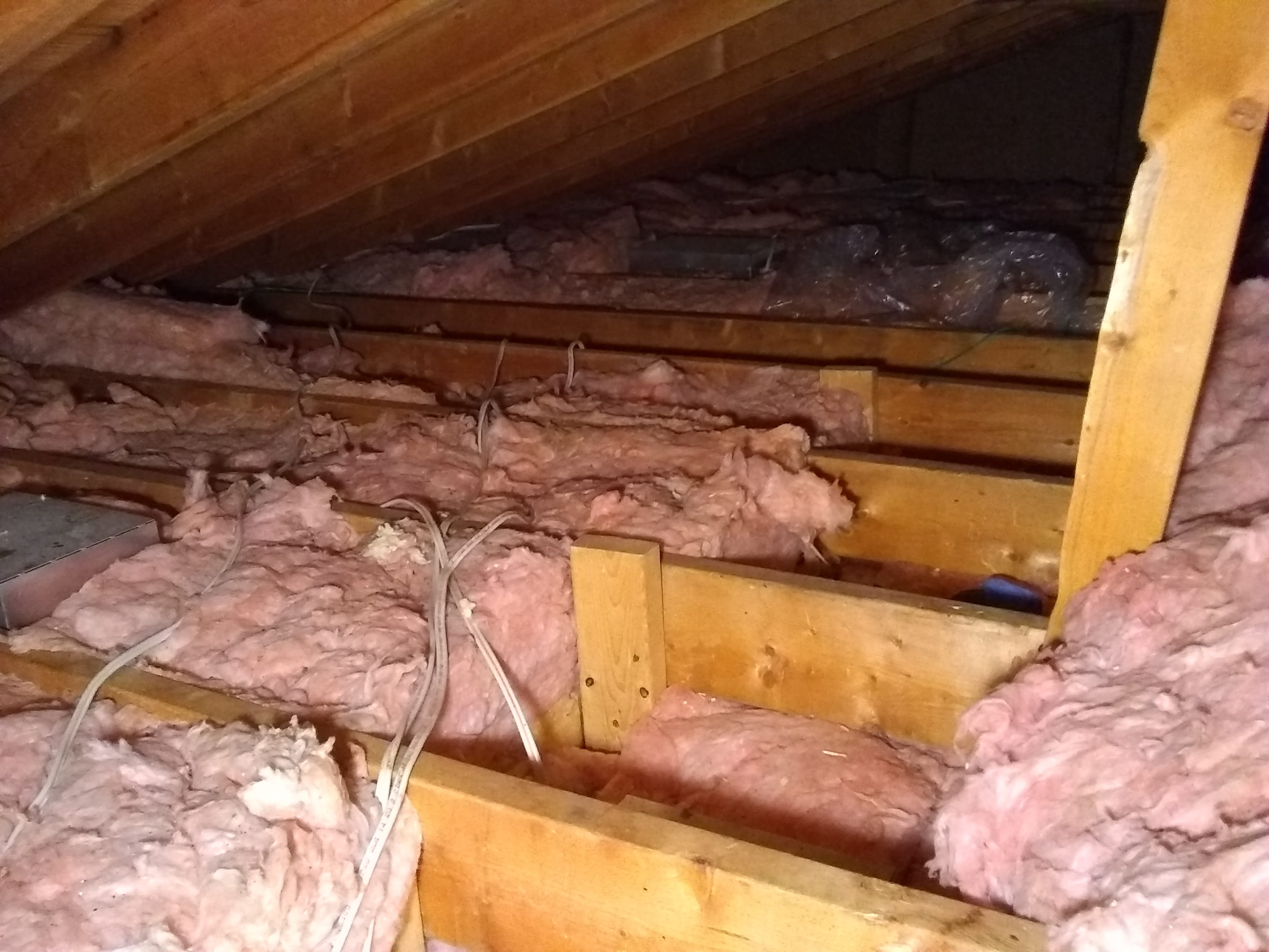 Tips for Inspecting Your Attic Insulation Wildlifeshield.ca